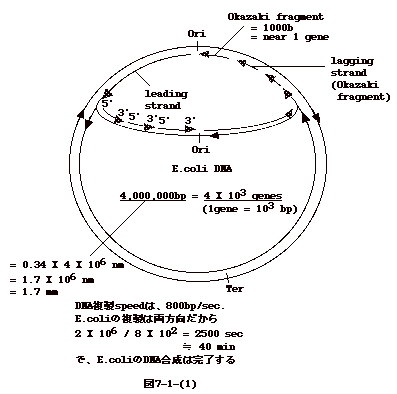 図7-1-(1)