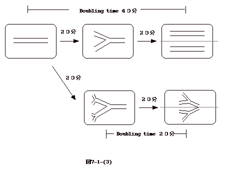 図7-1-(3)