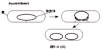 図7-3-(2)